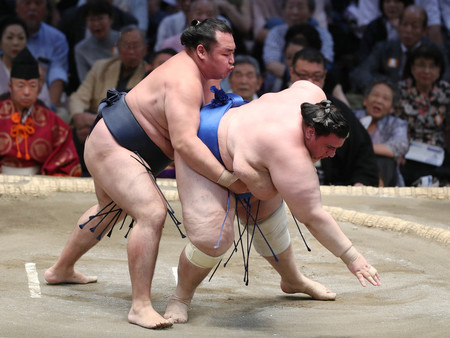鶴竜(左)は上手出し投げで碧山を下す=11日、愛知・ドルフィンズアリーナ