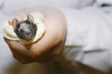 ジョコビッチの広告起用に動物愛護団体が抗議した理由とは スポーツ ニュース So Net ジョコビッチの広告起用に動物愛護団体が抗議した理由とは スポーツ ニュース So Net