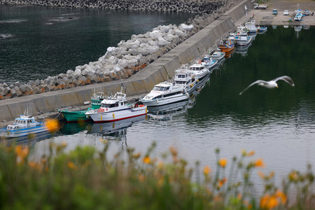観光船「ＫＡＺＵ　Ｉ（カズワン）」が沈没した事故の発生から１カ月、ウトロ港に停泊する漁船と観光船＝２３日午前、北海道斜里町