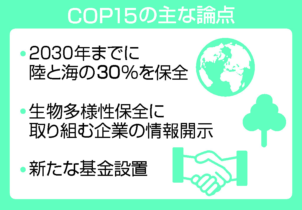 COP15の主な論点