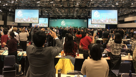 国連生物多様性条約第15回締約国会議(COP15)で、新たな国際目標が採択されたことを喜ぶ参加者=19日、カナダ・モントリオール
