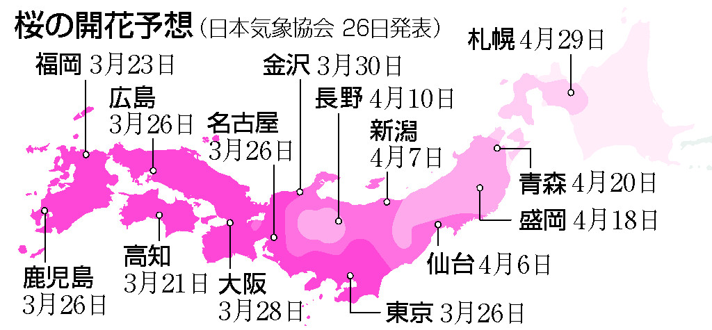 桜の開花予想