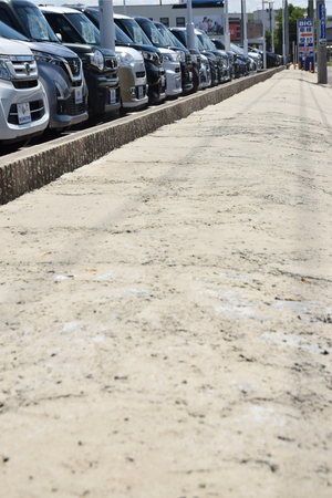ビッグモーター「イオンモールかほく店」前のコンクリートで舗装された植え込み＝８月４日、石川県かほく市