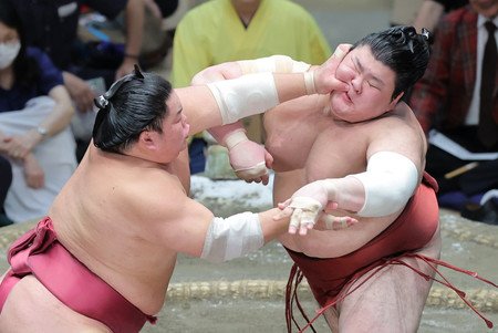 大栄翔(左)に攻められる熱海富士=21日、東京・両国国技館