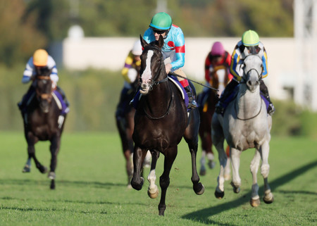 イクイノックスが連覇＝日本レコードでＧI５連勝―競馬天皇賞・秋