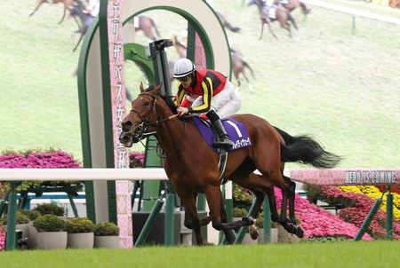 ブレイディヴェーグ優勝＝宮田調教師はＧI初制覇―競馬エリザベス女王杯