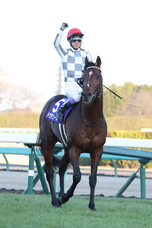 競馬有馬記念・談話 | 時事通信ニュース