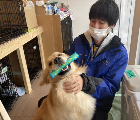 預かった犬の世話をする「わんにゃんデイケアハウス珠洲」のスタッフ＝３月２３日、石川県珠洲市