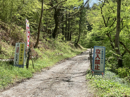 会社役員夫妻の遺体が発見された現場付近の林道＝４月２６日、栃木県那須町