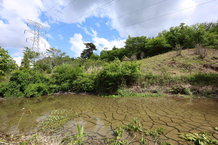 リニア中央新幹線の工事が行われている岐阜県瑞浪市の大湫町でひび割れが確認されたため池＝１６日午後