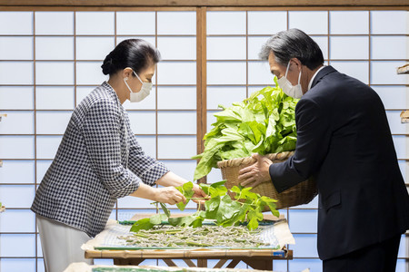 蚕に桑の葉を与える「給桑（きゅうそう）」の作業をされる皇后さま＝４日午後、皇居内の紅葉山御養蚕所（宮内庁提供）