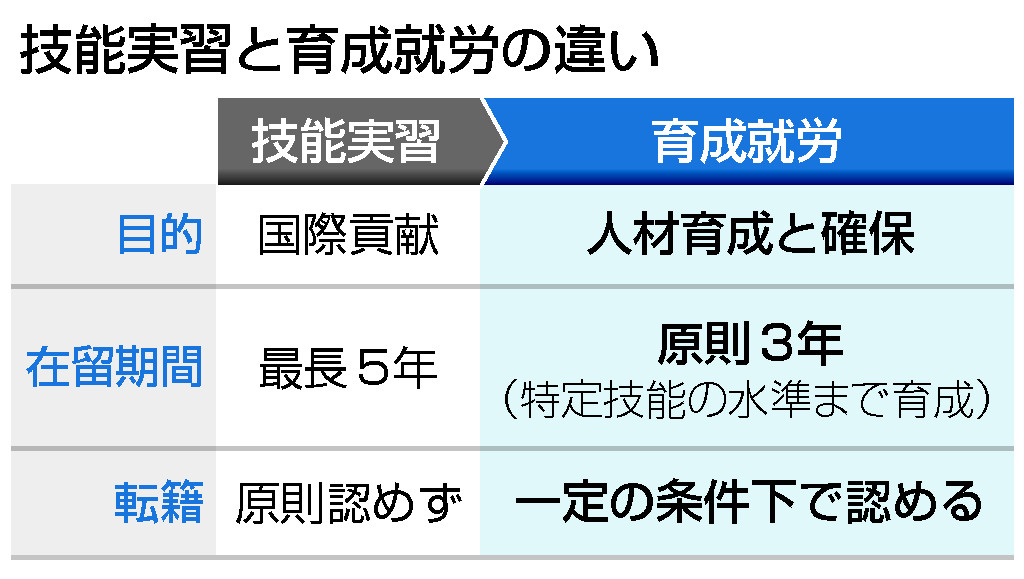 技能実習と育成就労の違い