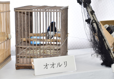 かすみ網」販売容疑で社長送検＝客が密猟、野鳥４１羽押収―警視庁 | 時事通信ニュース