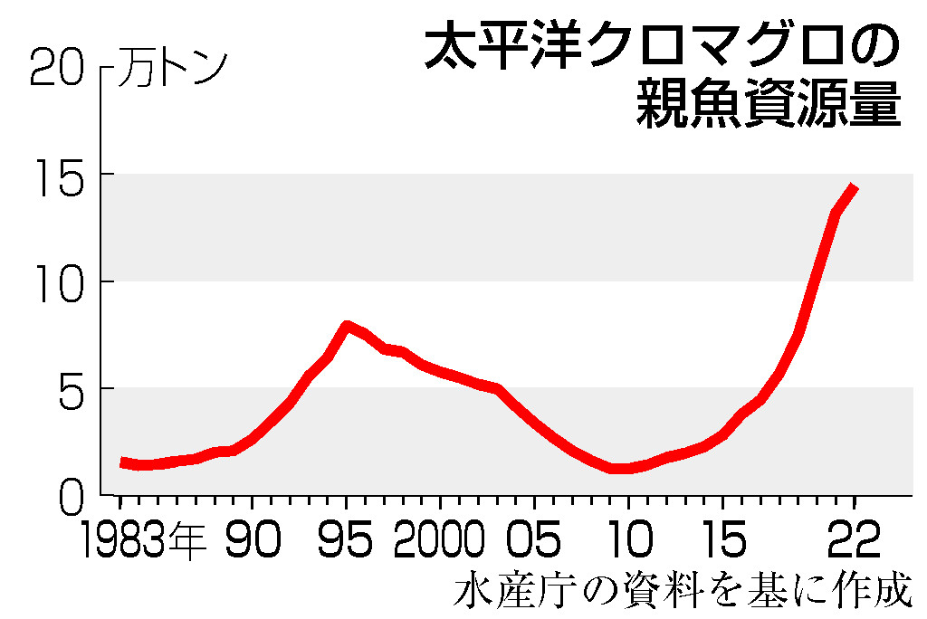 太平洋クロマグロの親魚資源量