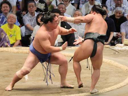 若隆景（左）は翠富士を押し出しで破る＝２３日、愛知・ドルフィンズアリーナ