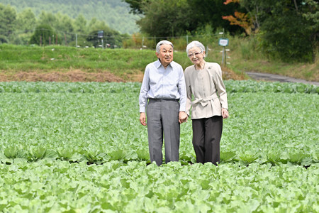 大日向開拓地のキャベツ畑を散策される上皇ご夫妻＝２３日午前、長野県軽井沢町（代表撮影）