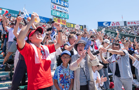 京都国際に声援を送る観客＝２３日、甲子園