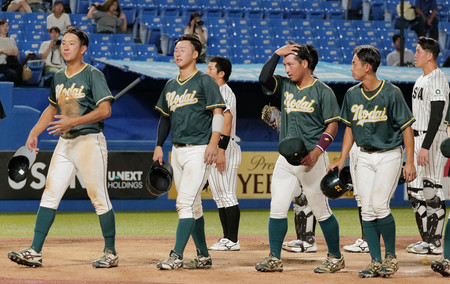 亜大に惜敗した東農大＝９日、神宮球場