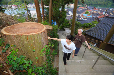 能登半島地震の影響で伐採したご神木の切り株を見る加藤藍子さん（左）＝６月２０日、石川県能登町