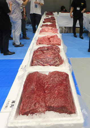 半世紀ぶりに流通する国産ナガスクジラ肉＝１３日午前、東京都江東区の豊洲市場