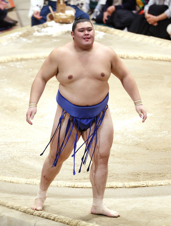大相撲 大関 大の里関 反物 大相撲 大関 大の里関 反物