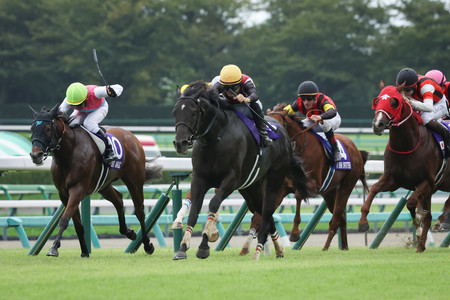 第５８回スプリンターズステークスを制した、西村淳也騎乗のルガル（中央手前）＝２９日、中山競馬場