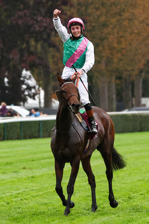 シンエンペラーは１２着＝武豊騎乗のアルリファー１１着―競馬凱旋門賞