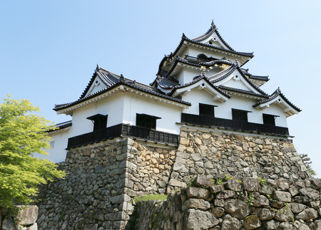 世界文化遺産登録を目指す「彦根城」＝２０１３年５月、滋賀県彦根市