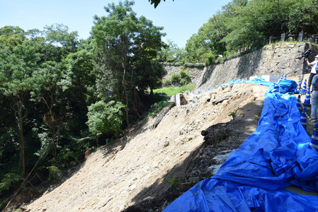 松山城の城山であった土砂崩れの現場＝７月２９日、松山市