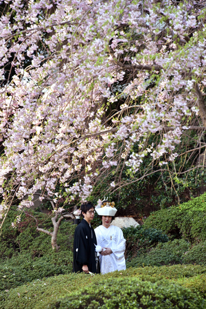 満開の桜の下に立つ新郎新婦（ＡＦＰ時事）（資料）