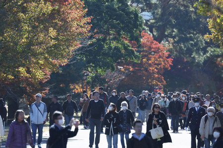 一般公開された皇居・乾通りで、紅葉を楽しむ人たち＝３０日午前、東京都千代田区