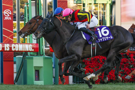 第６９回有馬記念を制した戸崎圭太騎乗のレガレイラ（奥）＝２２日、中山競馬場