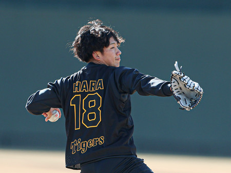 阪神の新人合同自主トレーニングで、キャッチボールする伊原＝８日、兵庫・鳴尾浜球場