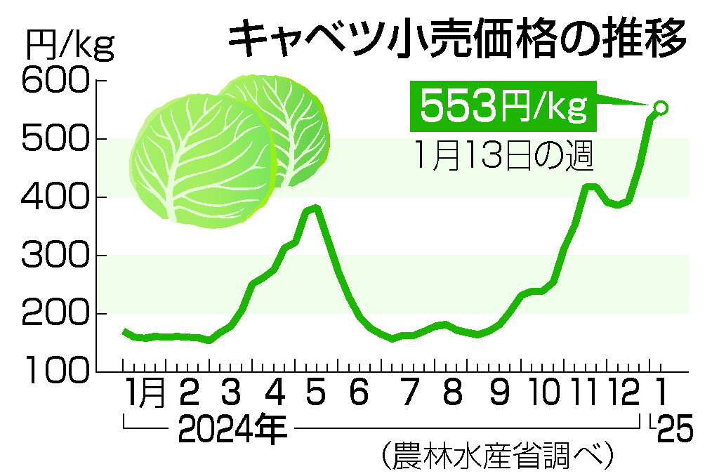 キャベツ小売価格の推移