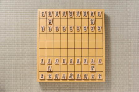 将棋盤と駒（資料）