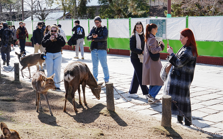 奈良公園を訪れた外国人観光客ら＝２月１５日、奈良市