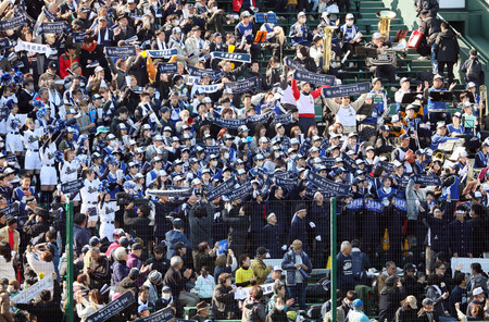 盛り上がる壱岐の応援席=20日、甲子園