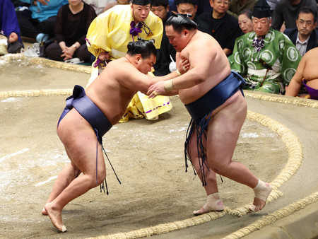 玉鷲(右)を押し出す豊昇龍=16日、東京・両国国技館