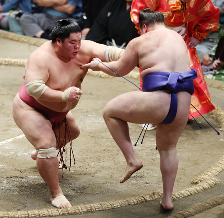 大栄翔(左)は突き出しで安青錦を下す=22日、東京・両国国技館