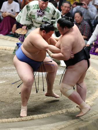 大の里(左)は寄り切りで琴桜を下し、2場所連続4度目の優勝を遂げた=23日、東京・両国国技館
