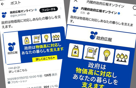 SNSに掲載された物価高対策に関する政府広告。「プロモーション」「広告」と記載されている