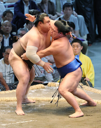英乃海(左)を攻める藤ノ川=15日、愛知・IGアリーナ