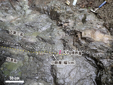 入手不可！小惑星のかけら Ｋ-Ｔ境界層（K/Pg境界頁岩）　標本 小惑星衝突、北海道に痕跡＝白亜紀末、恐竜絶滅の要因―東北大など