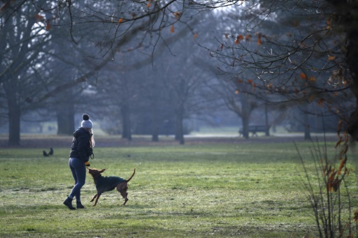 コロナ禍の英国 癒やし需要に付け込む 犬泥棒 激増 時事通信ニュース