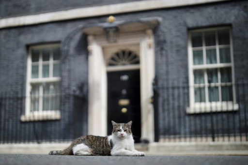 英首相官邸の主は吾輩ニャン ラリー政権 １０年 時事通信ニュース