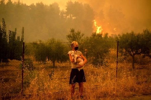 取り残された動物救う有志の獣医師ら ギリシャ山火事 時事通信ニュース