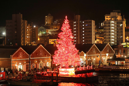 函館の夜を彩るクリスマスツリー 時事通信ニュース