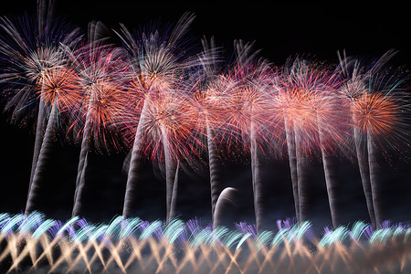 夜空に咲く「大曲の花火」 | 時事通信ニュース