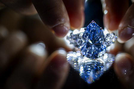 青いダイヤ、６６億円で落札 | 時事通信ニュース