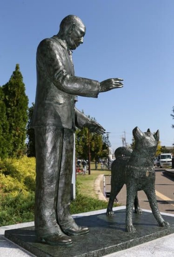 写真】時代を見つめた忠犬ハチ公 (34/35) | 時事通信ニュース